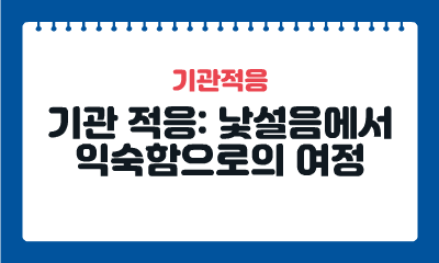 과정 이미지